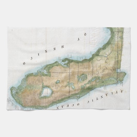  kaart van Florida (1848) Theedoek (Horizontaal)
