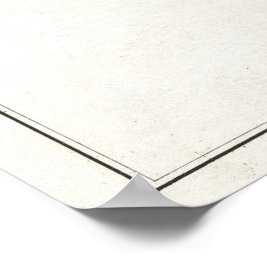  kaart van Florida (1853) Poster (Hoek)