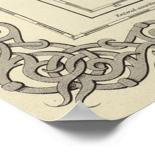  kaart van Florida (1856) Poster (Hoek)