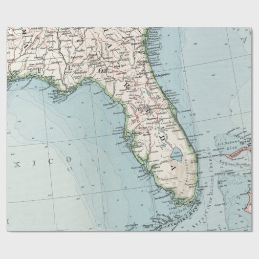 kaart van Florida (1900) Cadeaupapier (Vlak)