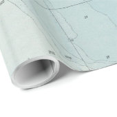  kaart van Florida (1900) Cadeaupapier (Rol Hoek)