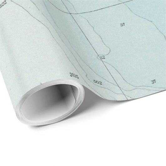 kaart van Florida (1900) Cadeaupapier (Rol Hoek)