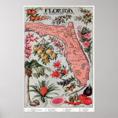  kaart van Florida (1917) Poster (Voorkant)