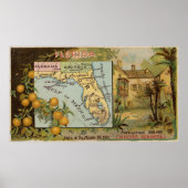 kaart van Florida met illustraties (1890) Poster (Voorkant)