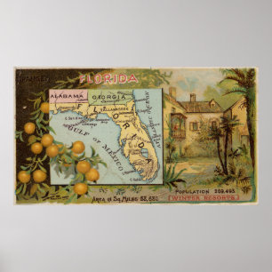 kaart van Florida met illustraties (1890) Poster