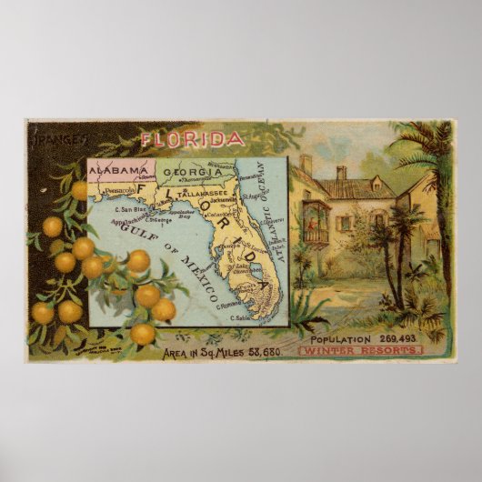  kaart van Florida met illustraties (1890) Poster (Voorkant)