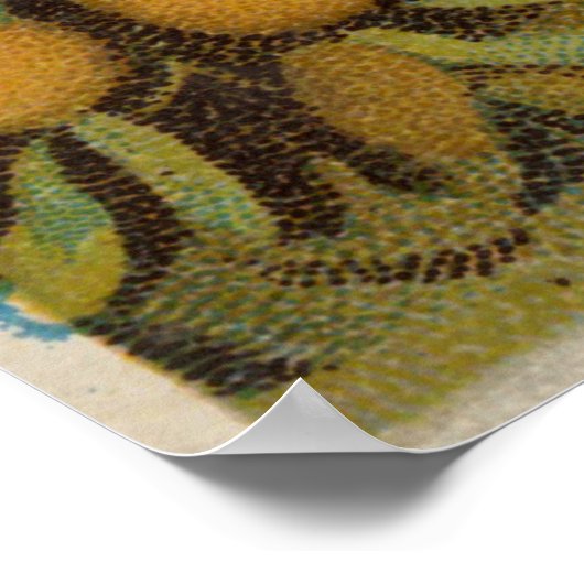 kaart van Florida met illustraties (1890) Poster (Hoek)