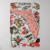 kaart van Florida Poster (Voorkant)