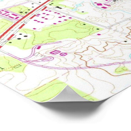  kaart van Gainesville Florida (1966) Poster (Hoek)