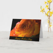 Kaart van geel en Oranje Roos (Gele Bloem)