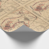 kaart van Gettysburg en Slachtoffers, juli 1863 Cadeaupapier (Hoek)