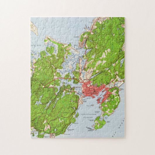 kaart van Gloucester Massachusetts (1949) Legpuzzel (Verticaal)