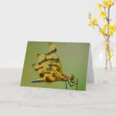 Kaart van gouddragonfly (Gele Bloem)