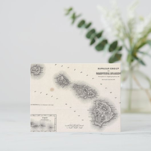  kaart van Hawaï en Nieuw-Zeeland (1855) (Staand voorkant)