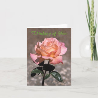 Kaart van het Chicago Peace Roos