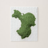Kaart van het Chinese vasteland van gras Legpuzzel (Verticaal)