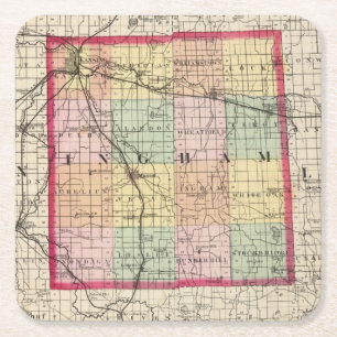 Kaart van het district Ingham, Michigan Kartonnen Onderzetters