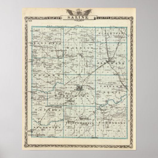 Kaart van het district Saline Poster (Voorkant)