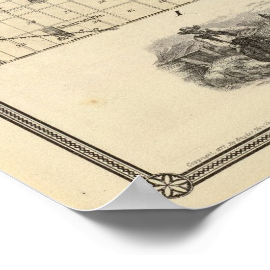 Kaart van het district Walworth, staat Wisconsin Poster (Hoek)