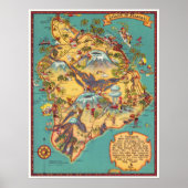  kaart van het eiland Hawaii Poster (Voorkant)