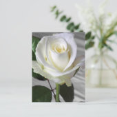 Kaart van het Engelse Roos (Staand voorkant)