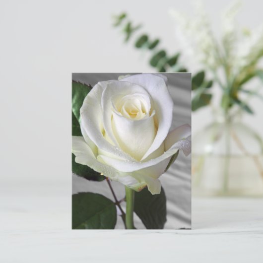 Kaart van het Engelse Roos (Staand voorkant)