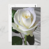 Kaart van het Engelse Roos (Voorkant / Achterkant)