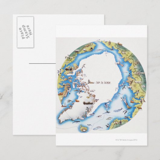 Kaart van het Noordpoolgebied (Voorkant / Achterkant)