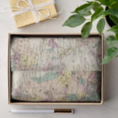 Kaart van het oostelijk halfrond tissuepapier (Geschenk)