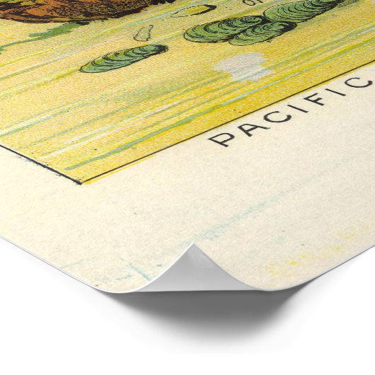 kaart van het wereldecosysteem met foto's (1893) poster (Hoek)