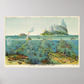 kaart van het wereldecosysteem met foto's (1893) poster (Voorkant)