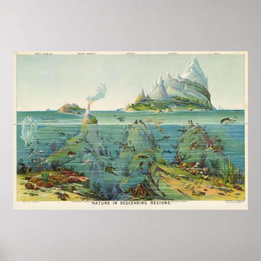  kaart van het wereldecosysteem met foto's (1893) poster (Voorkant)