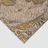 kaart van het wereldweefseldocument tissuepapier (Detail)