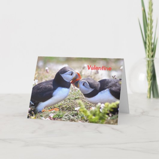 Kaart van het zoenen Puffins - Valentijn (Voorkant)