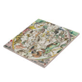 Kaart van het zuidelijk halfrond, van 'The Celesti Tegeltje (Zijkant)