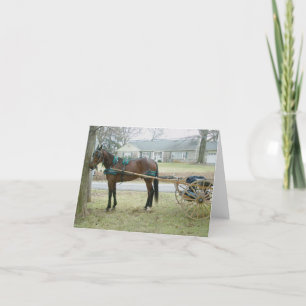 Kaart van Horse in Harness Note