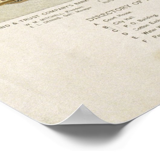 kaart van Houston Texas (1891) Poster (Hoek)