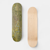  kaart van Houston Texas (1891) Skateboard (Voorkant)
