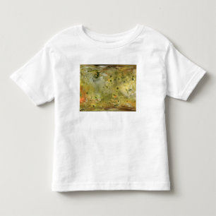 Kaart van Jupiter's maan Lo Kinder Shirts