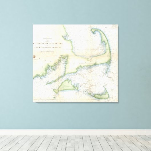  kaart van kabeljauw (1857) canvas afdruk (Insitu (Houten vloer))