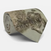  kaart van kabeljauw (1885) stropdas (Opgerold)