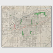  kaart van Kansas (1893) Cadeaupapier (Vlak)