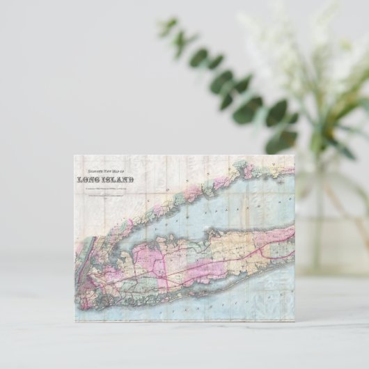  kaart van Long Island (1880) (Staand voorkant)