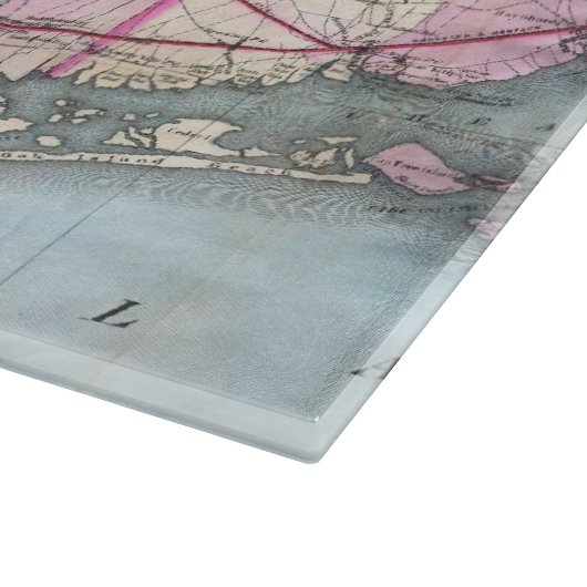  kaart van Long Island (1880) Snijplank (Hoek)