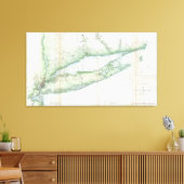 kaart van Long Island NY (1877) Canvas Afdruk (Insitu (Woonkamer))