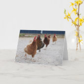 Kaart van loopkippen (Gele Bloem)