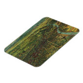  kaart van Los Angeles, Californië en de rivier Magneet (Linkerzijde)