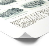 Kaart van Lynn, Massachusetts uit 1916 Poster (Hoek)