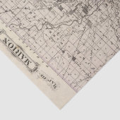 Kaart van Marion County 2 Tissuepapier (Detail)