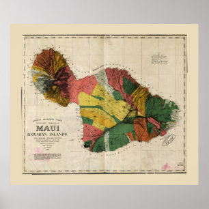 Kaart van Maui, Hawaiian Island (1885) Poster